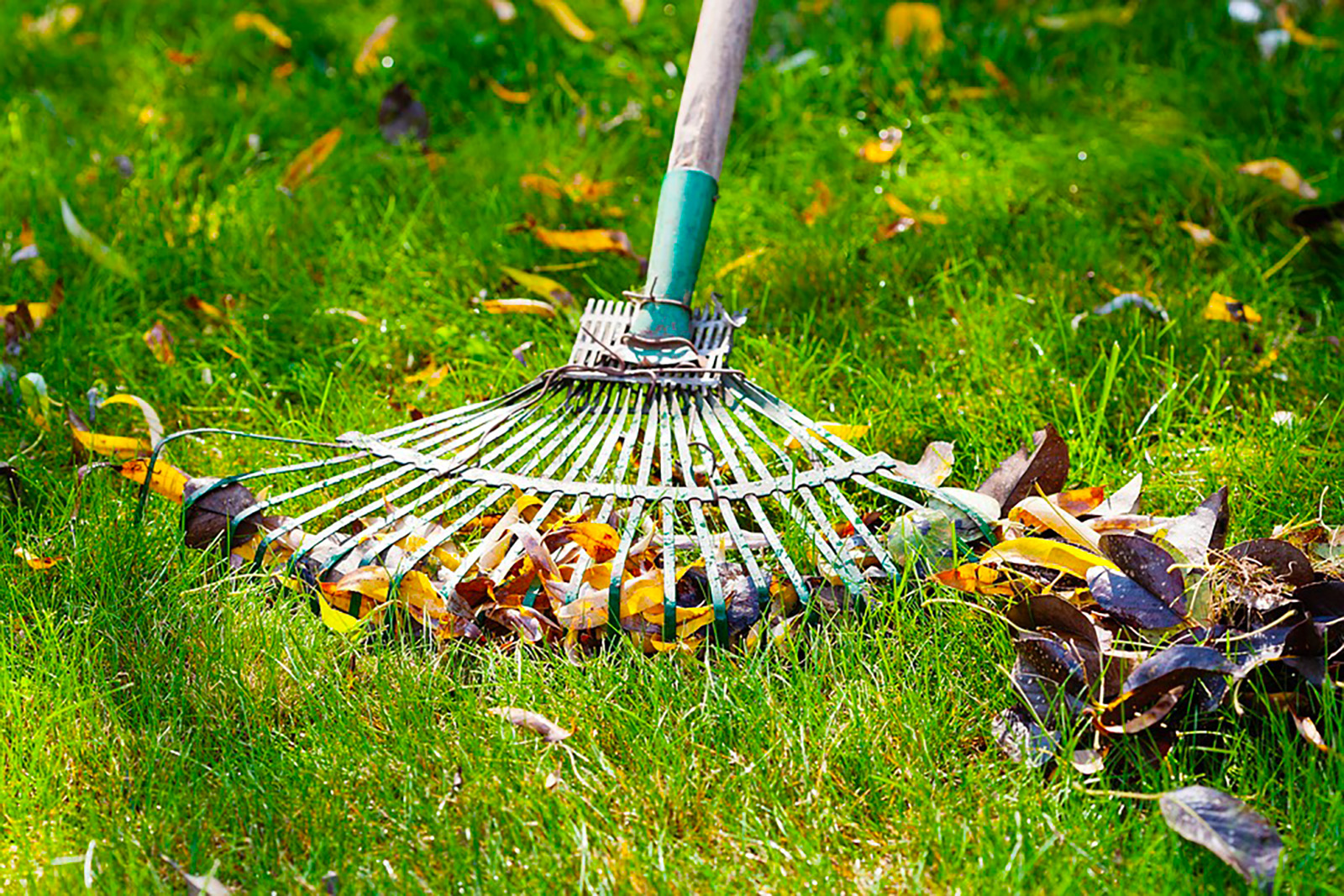Ouverture de terrain au printemps