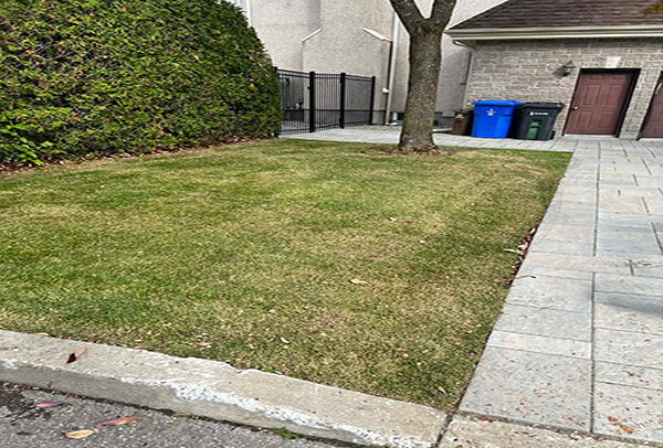 Jardin aménagé - Lorraine