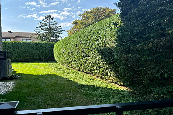 Cour arrière - Sainte-Thérèse