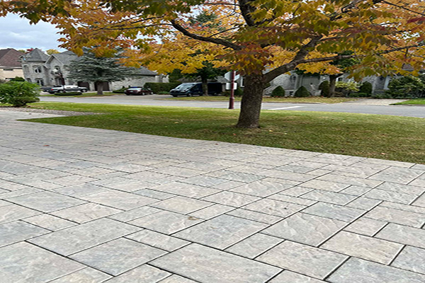 Pelouse parfaite - Lorraine